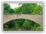 stampede_2010