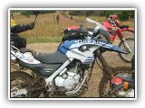 stampedes_2005-2009